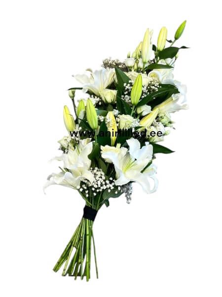 Matusekimp  kokkuseotud "MK-2"