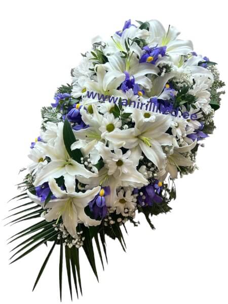 Matuseseade “MSP-11”