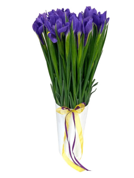 Bouquet of iris
