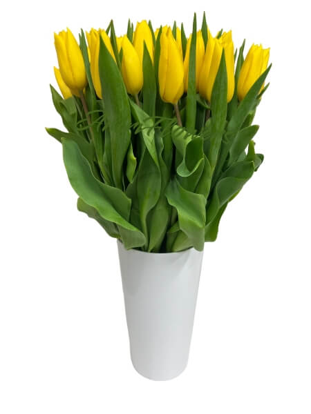 Тюльпаны желтые