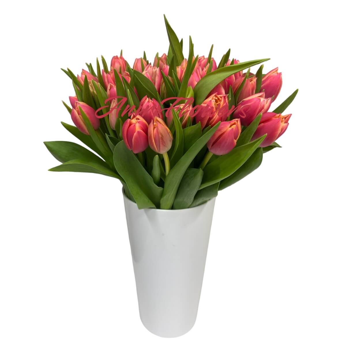 Tulbid roosad Columbus