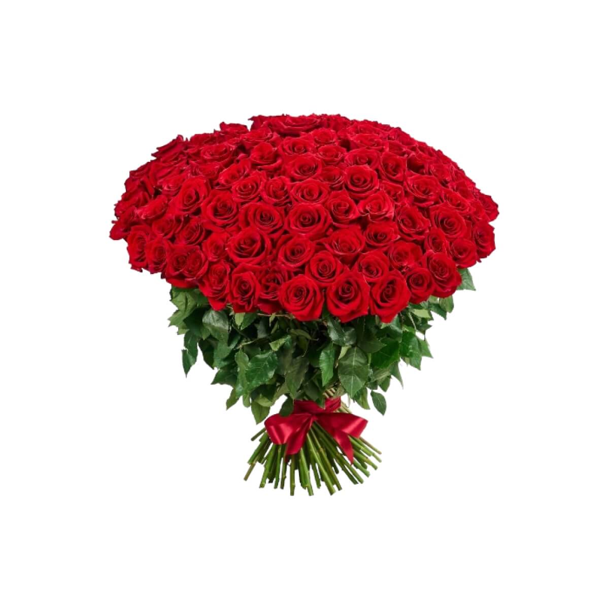 Bouquet of 101 red roses