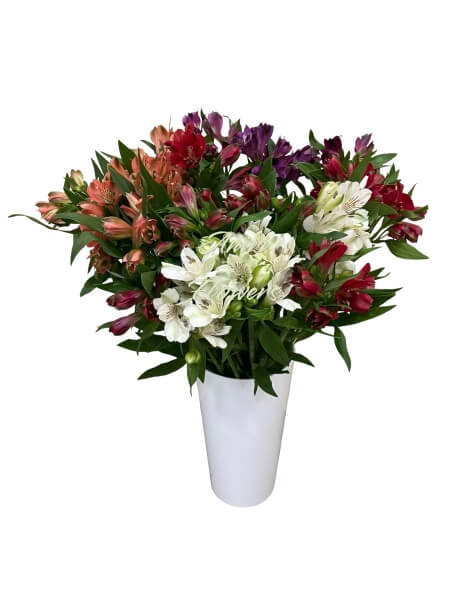 Альстромерия