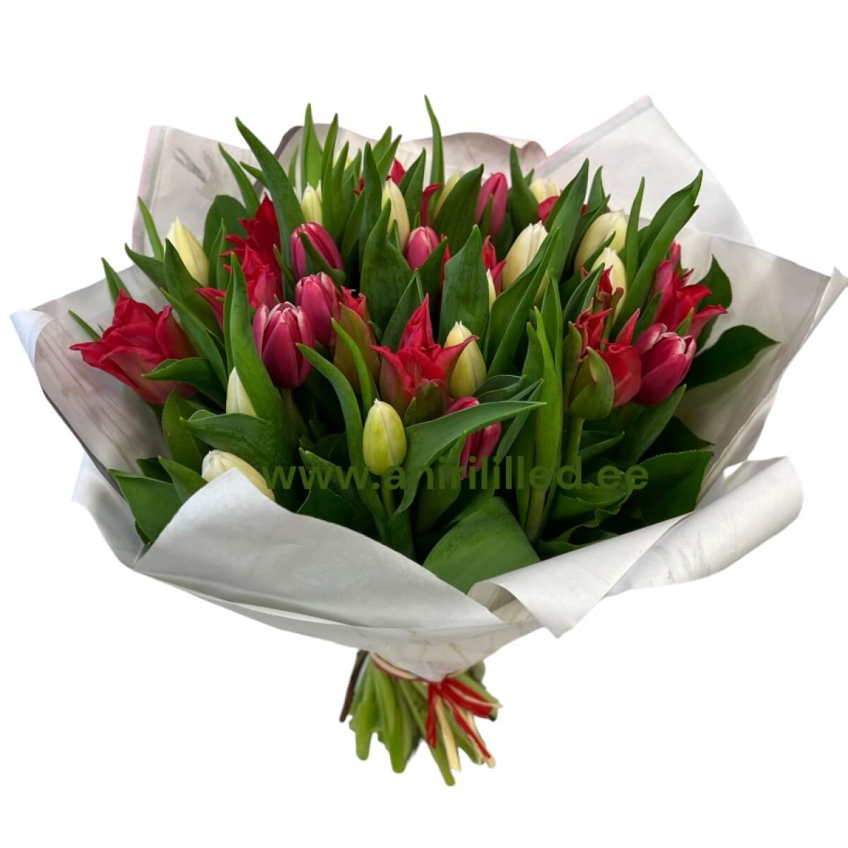 Bouquet of tulips