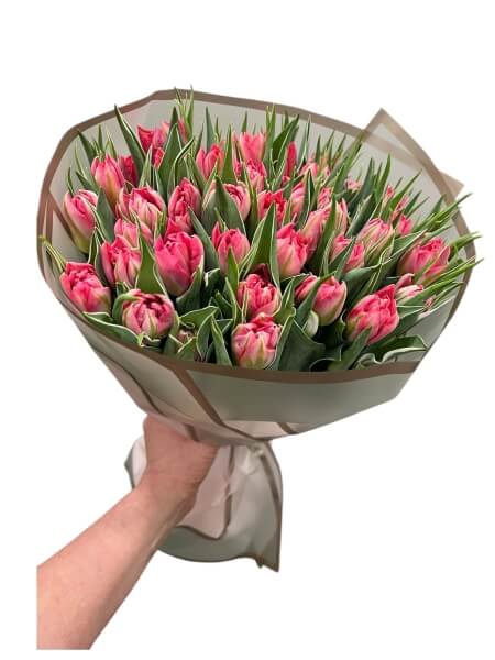 Tulbikimp Flashpoint