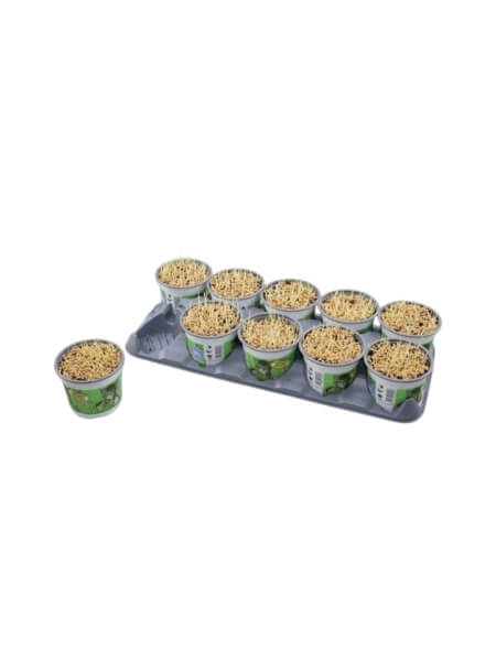 Kattegras