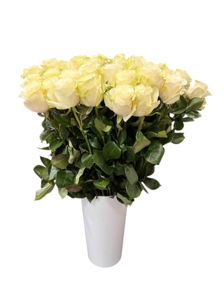 Rose Ecuador Mondial 60 cm