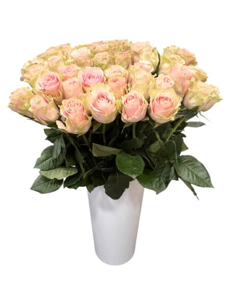 Rose Frutetto ecuador