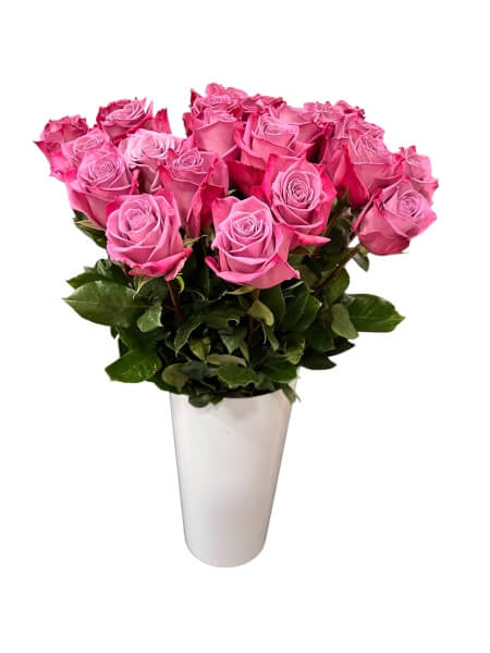 Rose Moody Blues Ecuador 60 cm