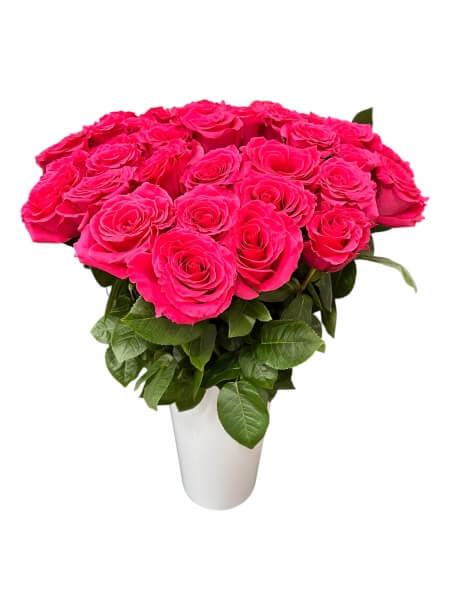 Rose Full Moonty 60 cm ecuador