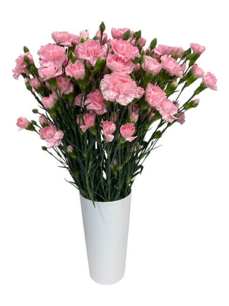 Kobarnelk розовая "KN-3"