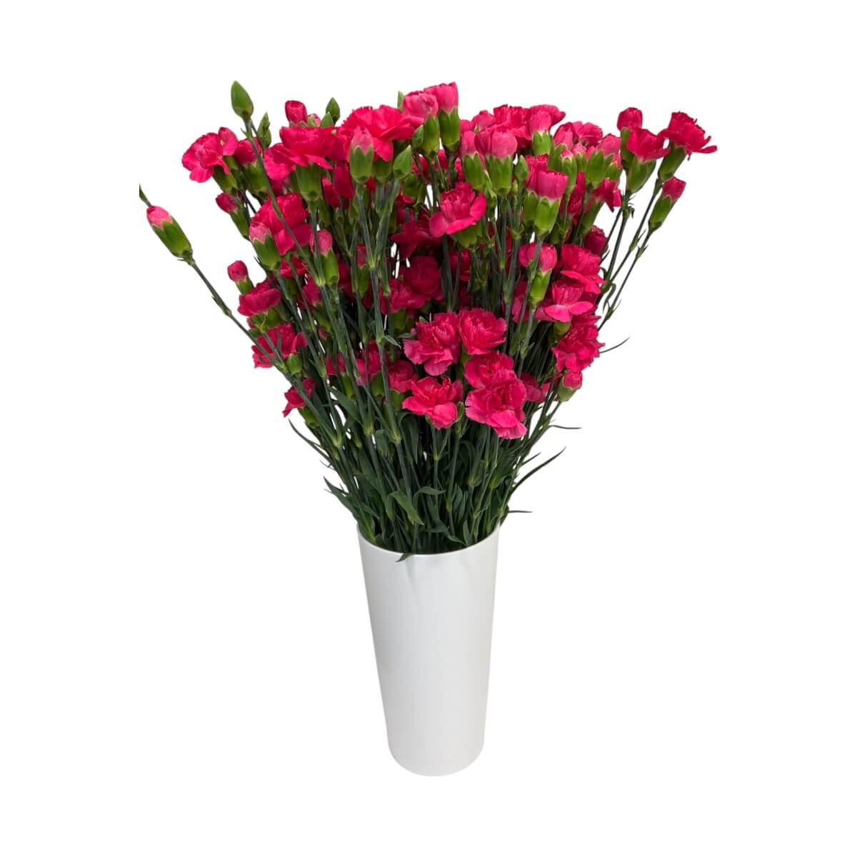 Carnation spray dark pink