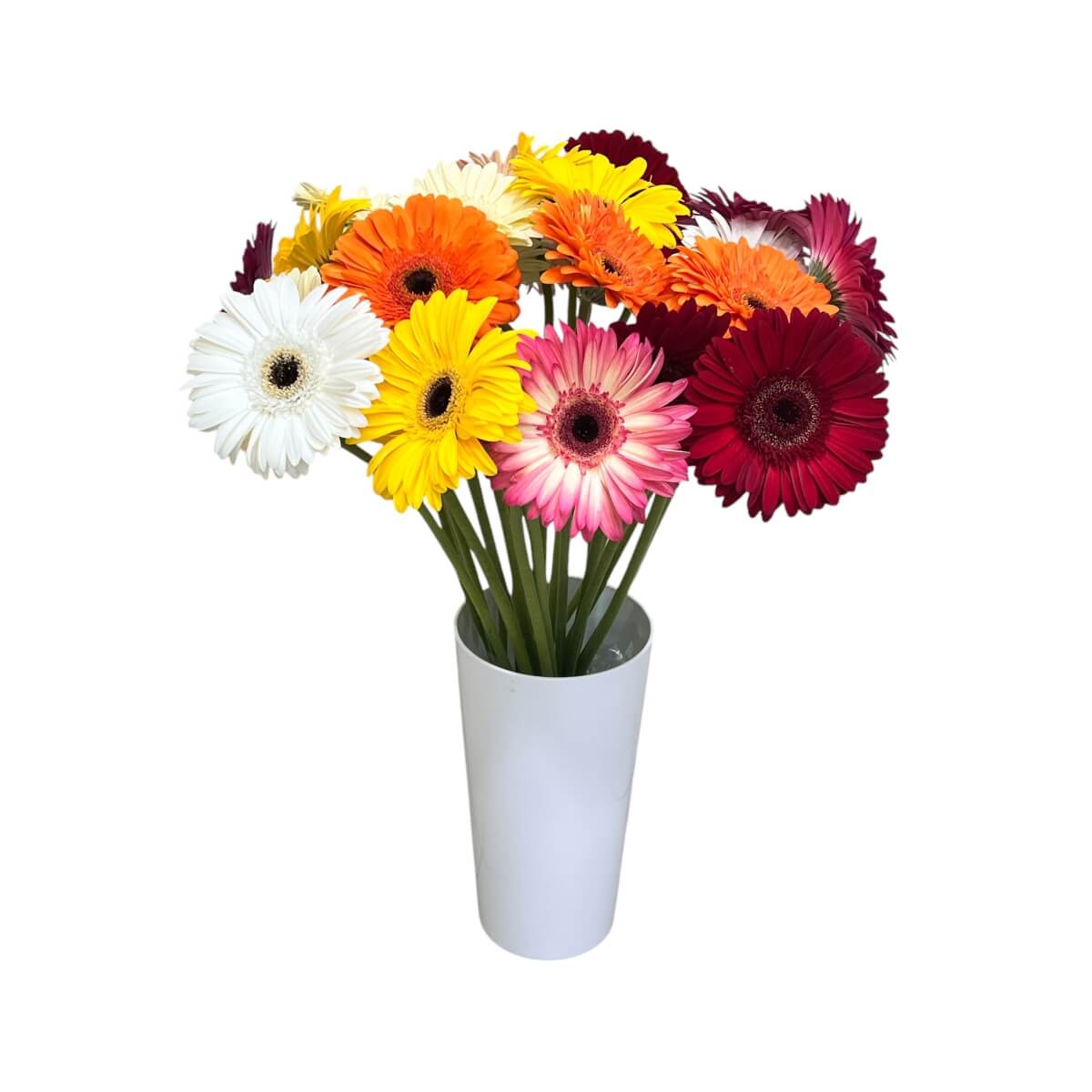 Gerbera mix "L-2"